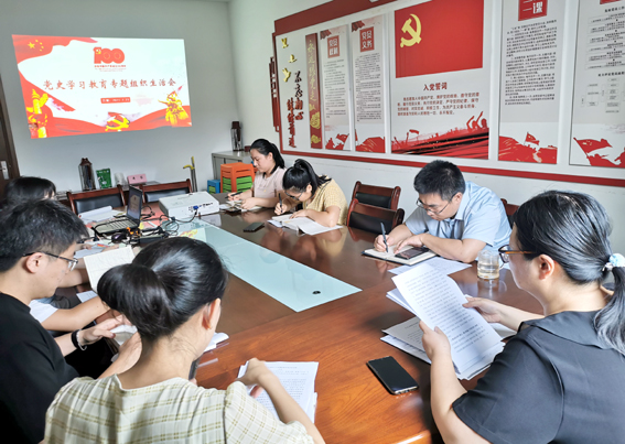 米兰网页版党支部召开党史学习教育专题组织生活会